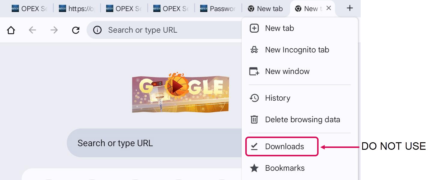 Chrome Downloads Menu (Figure 2-6)
